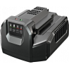 EGO Chargeur standard 210W